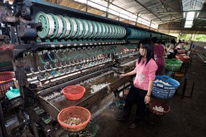 Hàng trăm nghìn Kl991.com World Cup 2026 Chính Thức không rõ sống hay chết